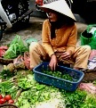 Vietnam: Gemsemarkt in der alten Sadt Hoi An