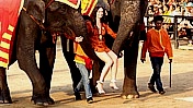 Thailand: Vorführung dressierter Elefanten