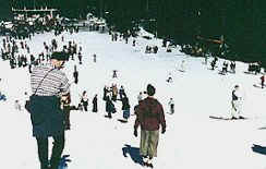 1961: Skihang oberhalb von Borovez; groer Besucheransturm am Sonntag