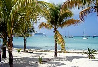 St. Maarten: Blick von einem Traumstrand mit Palmen zum Schiff