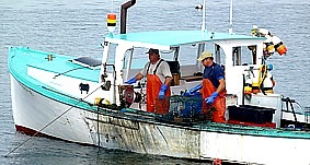 Lobsterfnger bei der Kontrolle der Fangkrbe